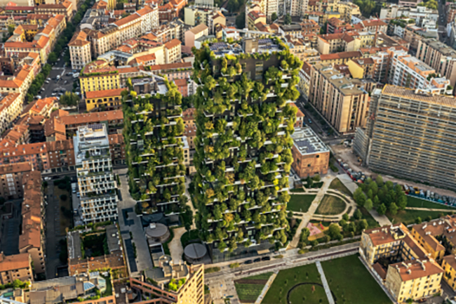 Urban Forestry: the Future of Cities Even in the Arid and Torrid Areas
