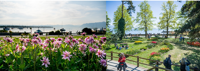 Morges In Switzerland’s Canton of Vaud Welcomes Spring With Its Annual Tulip Festival