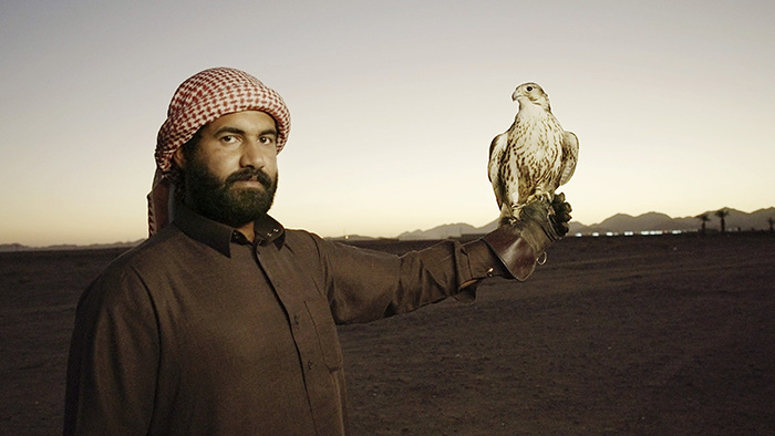«حلفاء الطبيعة».. فيلم وثائقي عن الصقارين بالمملكة العربية السعودية