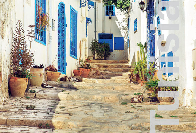 Tunisia: Accelerate structural reforms to boost future growth and lift living standards, says OECD Tunisia: Accelerate structural reforms to boost future growth and lift living standards, says OECD