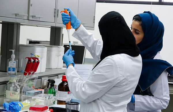 صندوق جميل لأبحاث الأمراض المعدية والابتكار يوجّه دعوة مفتوحة للمجموعة الثانية من الباحثين صندوق جميل لأبحاث الأمراض المعدية والابتكار يوجّه دعوة مفتوحة للمجموعة الثانية من الباحثين