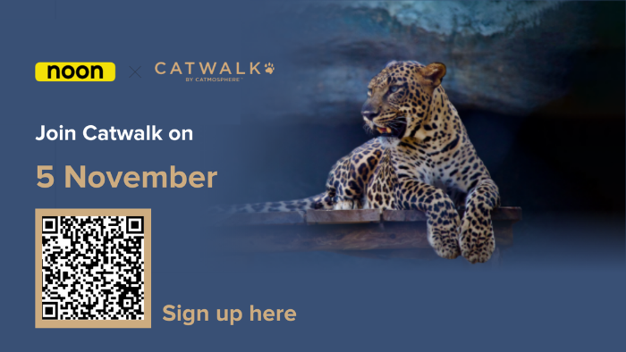 Noon.com partners with Catmosphere to support animal conservation through Catwalk initiative