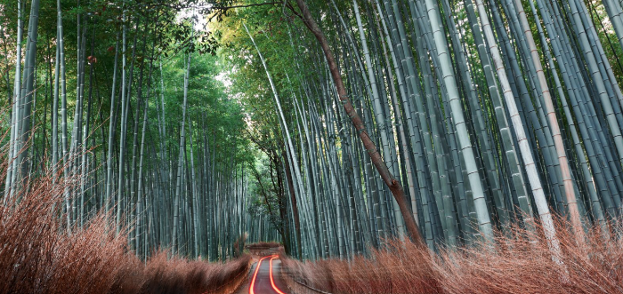 Lenovo Commits to Net-Zero Emissions by 2050, Validated by Science Based Targets initiative