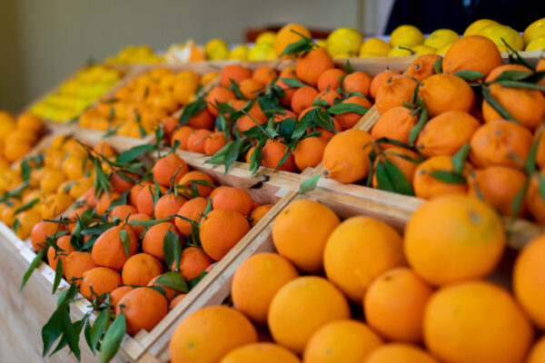 Winter at Tantora puts local flavours and produce in the spotlight