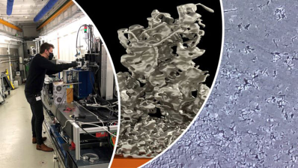 3D battery imaging reveals the secret real-time life of lithium metal cells 3D battery imaging reveals the secret real-time life of lithium metal cells