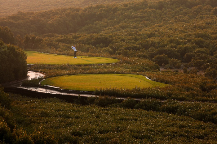 AL ZORAH GOLF CLUB COMMITS TO PLANT ONE MANGROVE TREE FOR EVERY ROUND OF GOLF PLAYED IN APRIL