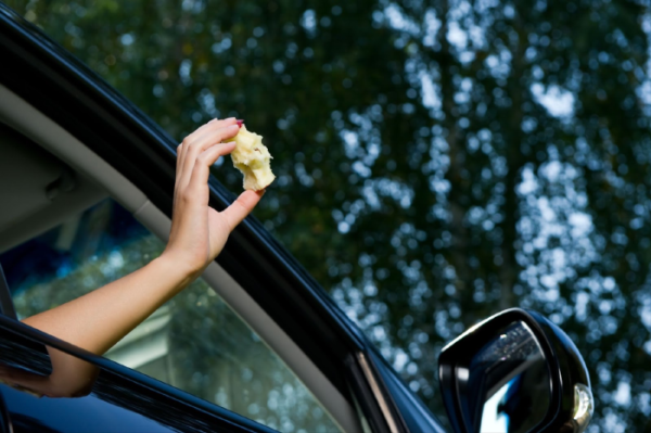 Drivers warned over fines for throwing apples out the window Drivers warned over fines for throwing apples out the window