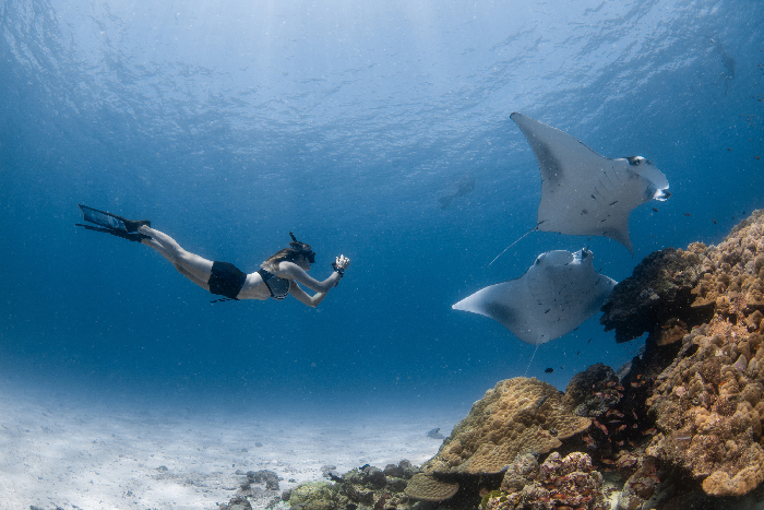 Seize the Moment and Experience the Last of the Manta Season at Four Seasons Resort Maldives at Landaa Giraavaru