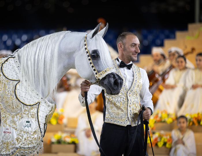 AJ Kayya Crowned ‘Horse of the Tour’ in the Global Champions Arabians Tour Season Finale