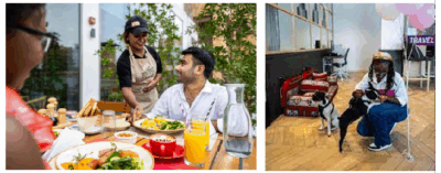 INK Hotel’s Barkin’ Brunch for Pet Parents in Dubai