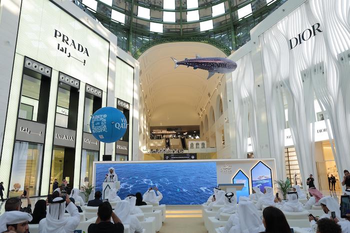Qatar Tourism Launches the Return of Whale Shark Tours